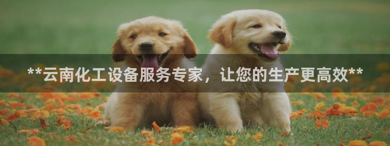门徒娱乐系3.7.9.9.7 主管：**云南化工设