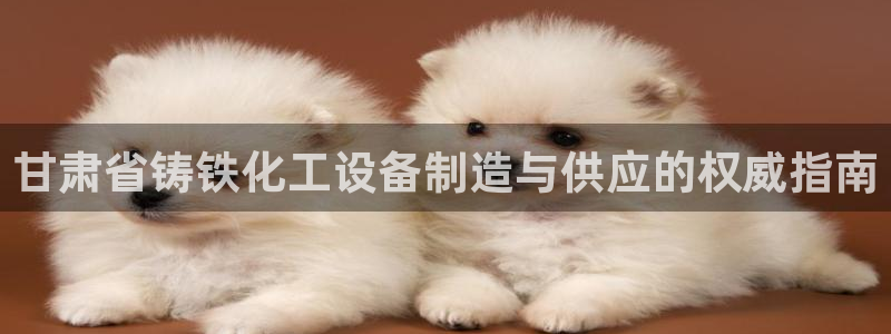 门徒娱乐选 3.7.oo.7.3.5：甘肃省铸铁化