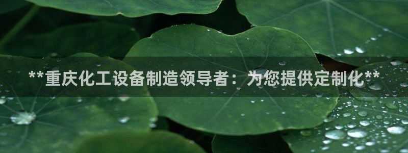 门徒娱乐可以提现么：**重庆化工设备制造领导者：为